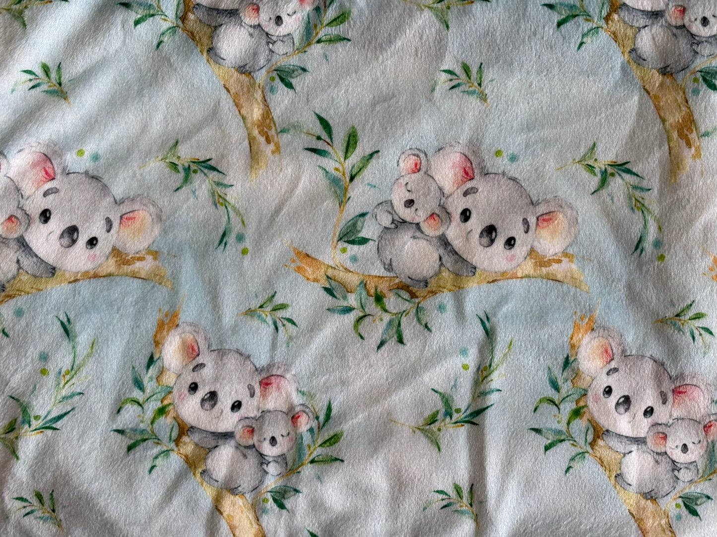 Couverture koala